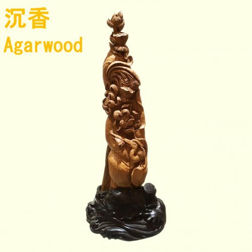 Agarwood