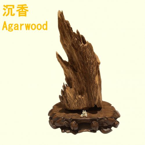 Agarwood Singapore